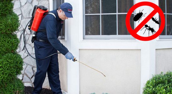 Yağcılar Bit İlaçlama böcek ilaçlama ve haşere kontrolü — ilaclama-tr.com